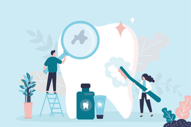 Best Dental Fillings (Composite and Amalgam)  in Nogales, AZ